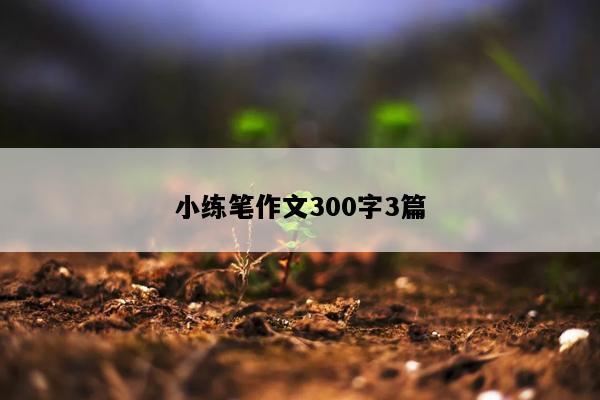 小练笔作文300字3篇