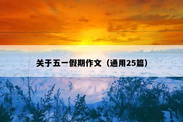 关于五一假期作文（通用25篇）