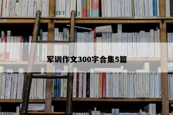 军训作文300字合集5篇