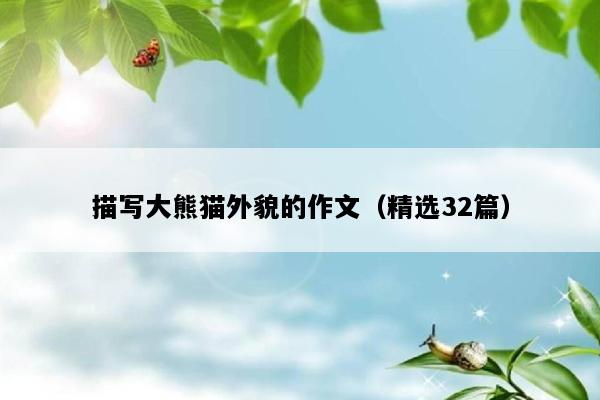 描写大熊猫外貌的作文（精选32篇）