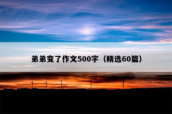 弟弟变了作文500字（精选60篇）