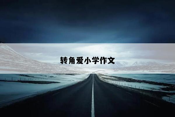 转角爱小学作文