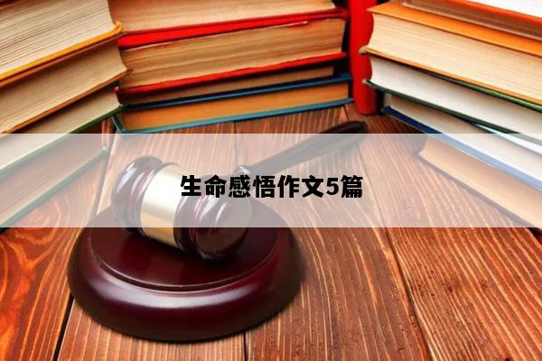 生命感悟作文5篇
