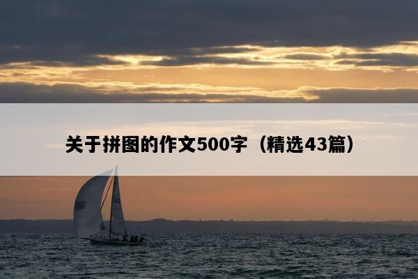 关于拼图的作文500字（精选43篇）