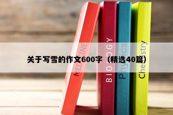 关于写雪的作文600字（精选40篇）