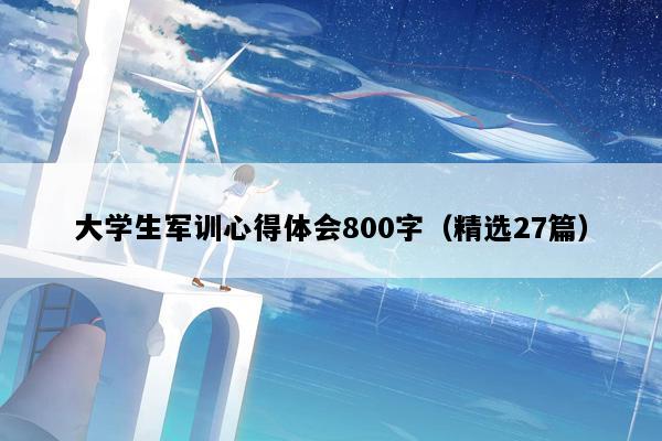 大学生军训心得体会800字（精选27篇）