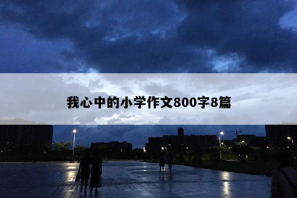 我心中的小学作文800字8篇