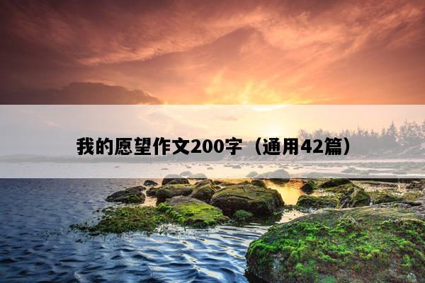 我的愿望作文200字（通用42篇）