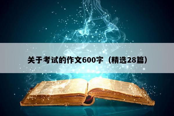 关于考试的作文600字（精选28篇）