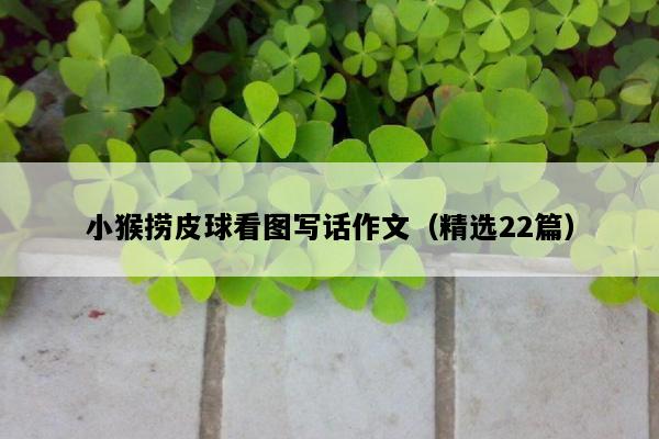 小猴捞皮球看图写话作文（精选22篇）