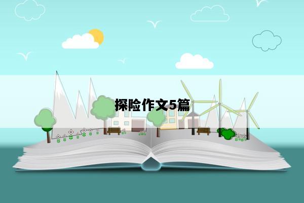 探险作文5篇