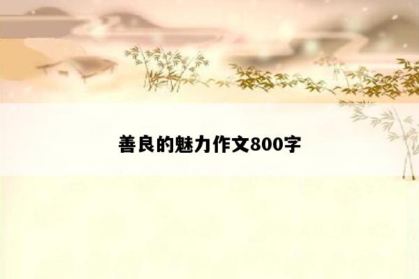 善良的魅力作文800字