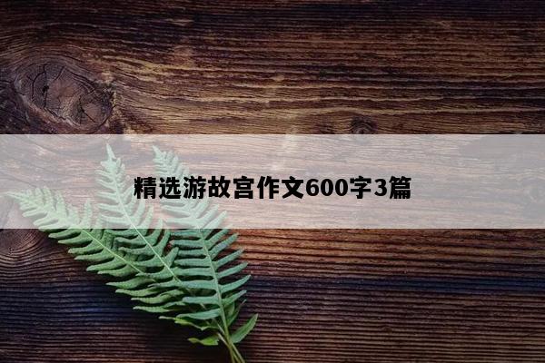 精选游故宫作文600字3篇
