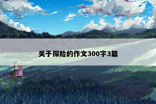 关于探险的作文300字3篇