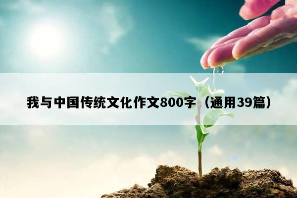 我与中国传统文化作文800字（通用39篇）