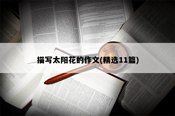 描写太阳花的作文(精选11篇)