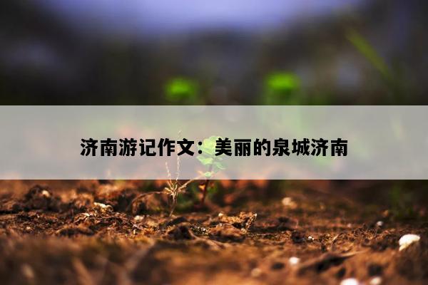 济南游记作文：美丽的泉城济南