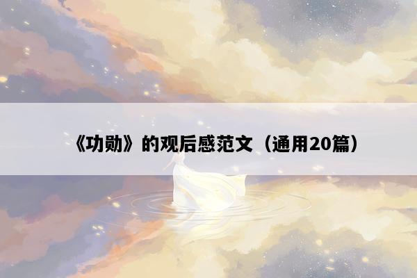 《功勋》的观后感范文（通用20篇）