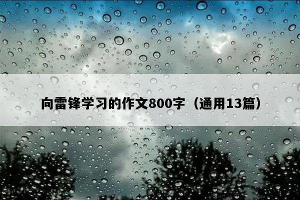 向雷锋学习的作文800字（通用13篇）