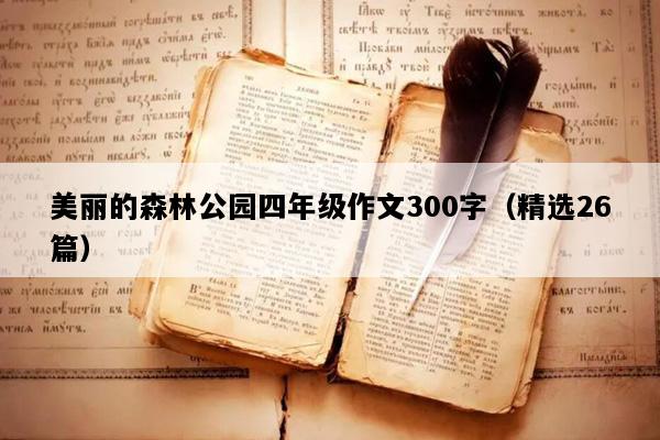 美丽的森林公园四年级作文300字（精选26篇）