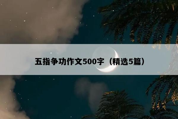 五指争功作文500字（精选5篇）