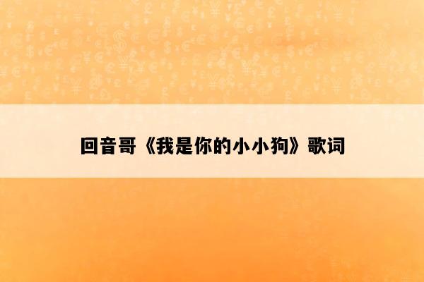 回音哥《我是你的小小狗》歌词