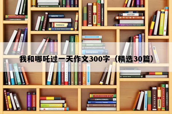 我和哪吒过一天作文300字（精选30篇）