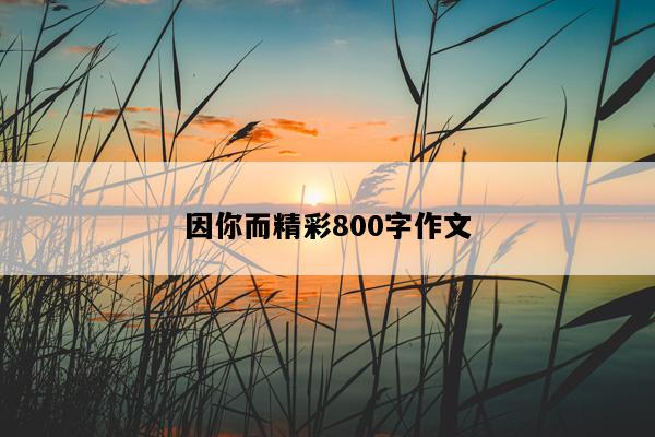 因你而精彩800字作文