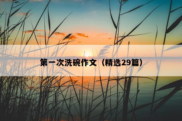 第一次洗碗作文（精选29篇）