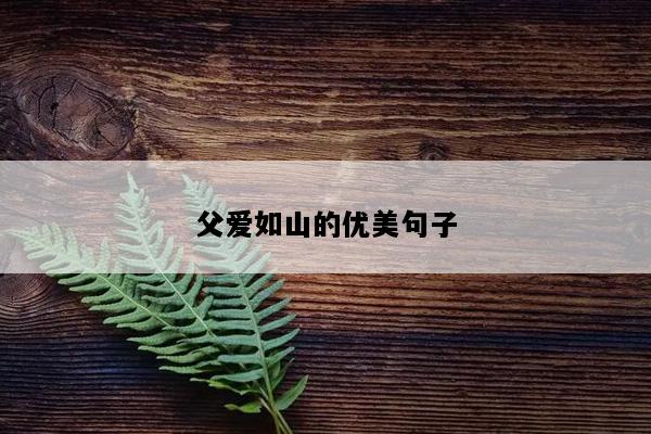 父爱如山的优美句子