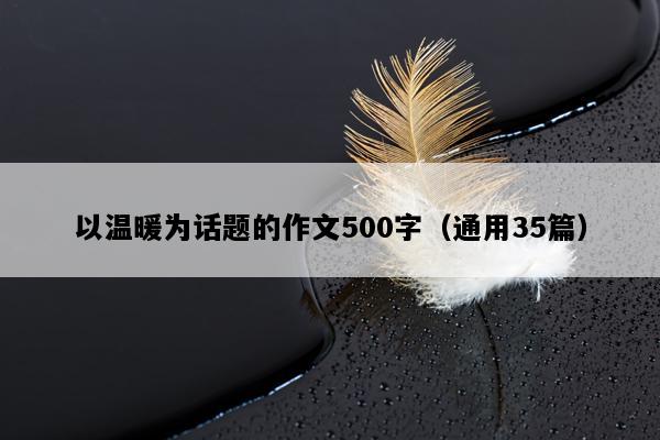 以温暖为话题的作文500字（通用35篇）
