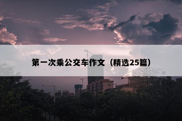 第一次乘公交车作文（精选25篇）