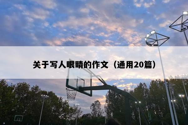 关于写人眼睛的作文（通用20篇）