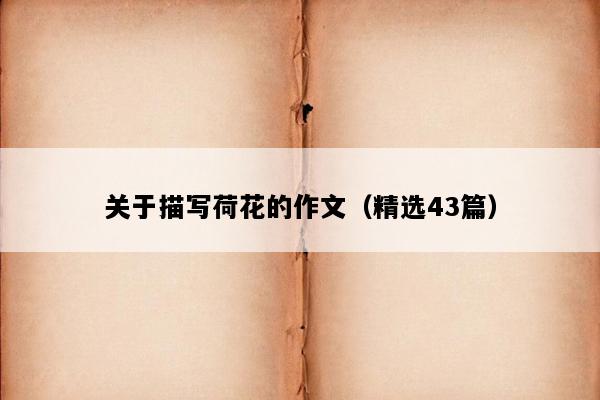 关于描写荷花的作文（精选43篇）
