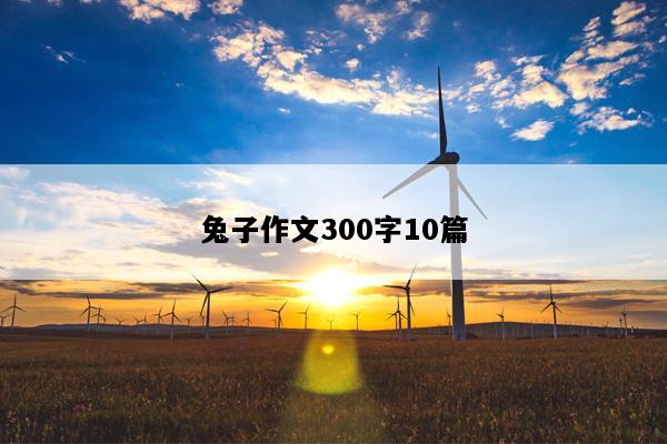 兔子作文300字10篇