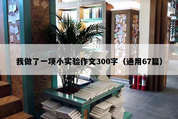 我做了一项小实验作文300字（通用67篇）