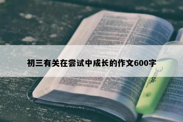 初三有关在尝试中成长的作文600字