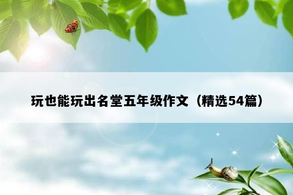玩也能玩出名堂五年级作文（精选54篇）