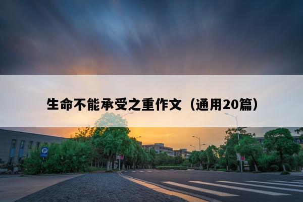 生命不能承受之重作文（通用20篇）