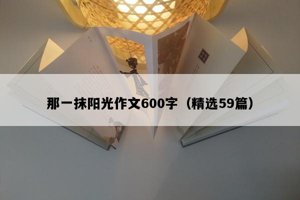 那一抹阳光作文600字（精选59篇）