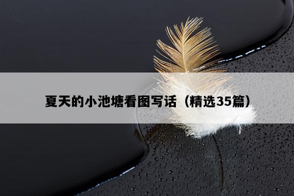 夏天的小池塘看图写话（精选35篇）